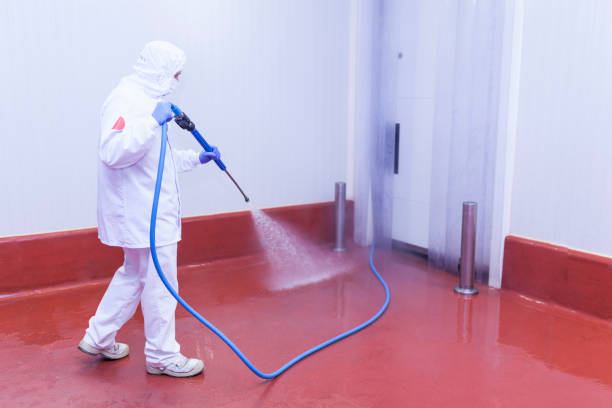 Best Driveway Pressure Washing  in Oronogo, MO