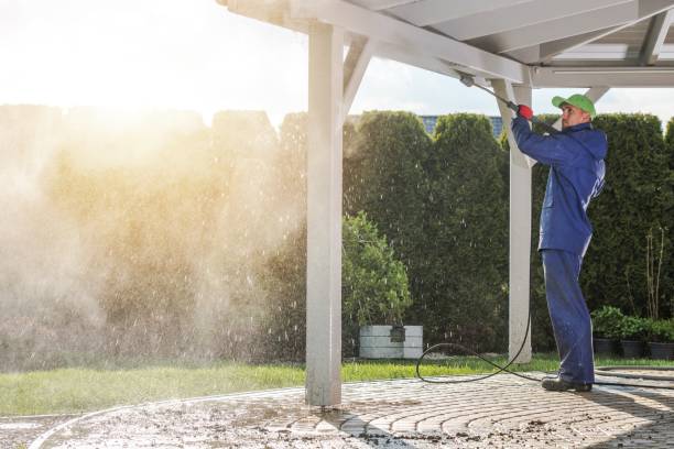 Best Roof Washing  in Oronogo, MO